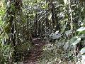 17b - Parc des Mamelles - Marche 025